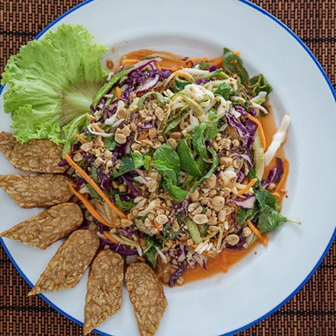 Cambodian Dog-Meat Restaurant Goes Vegan