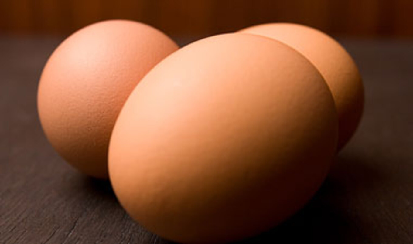 Cage-Free Au Bon Pain