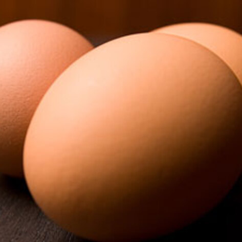 Cage-Free Au Bon Pain