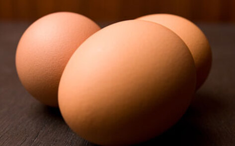 HSUS Exposes Egg Farmers