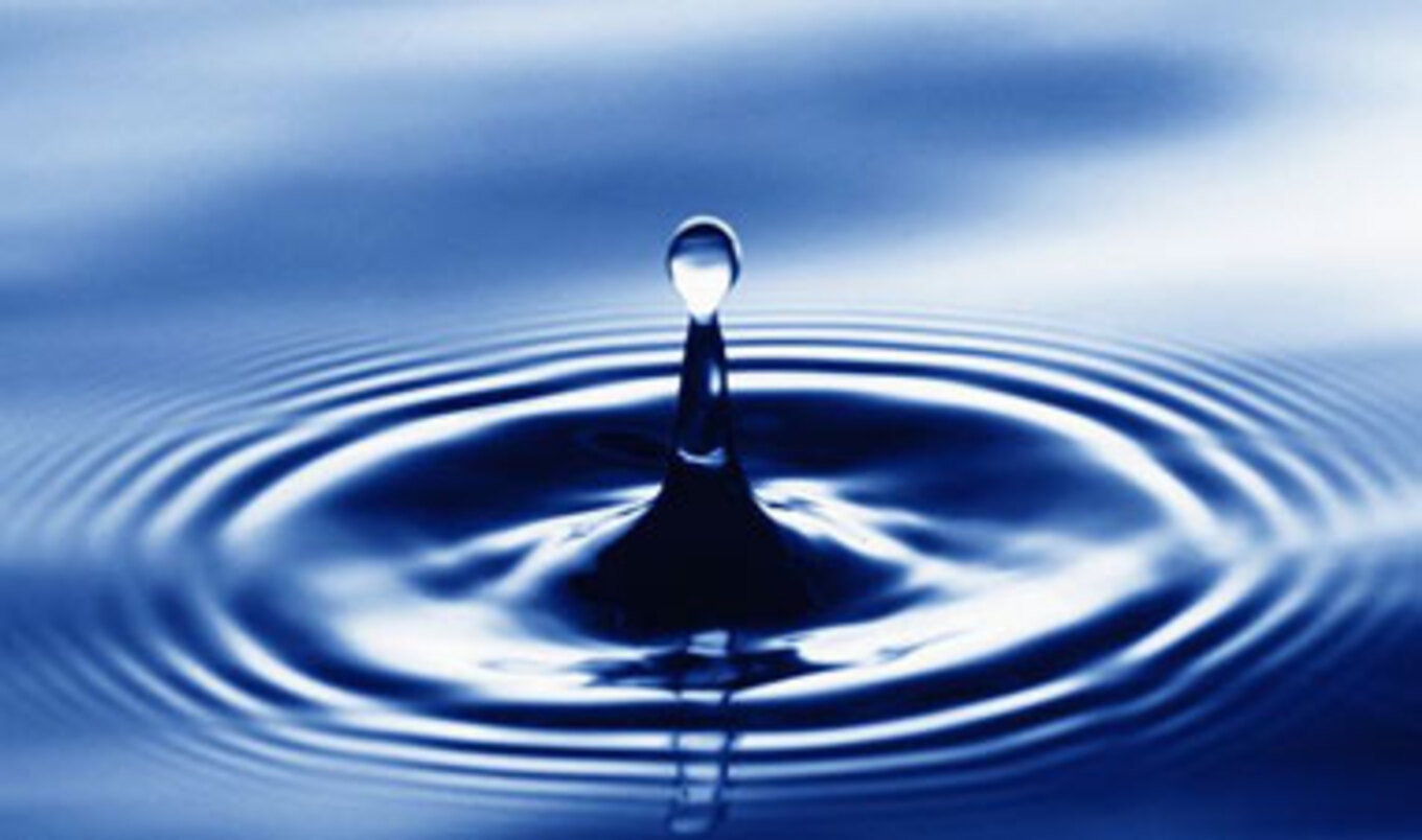 Moby to California Governor: Restrict Water to Agribusiness