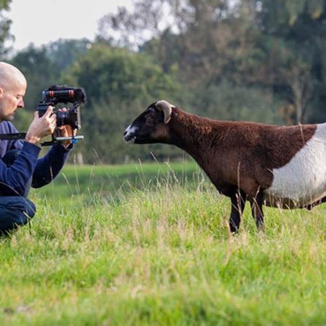 Vegan Documentary The End of Meat Makes US Debut