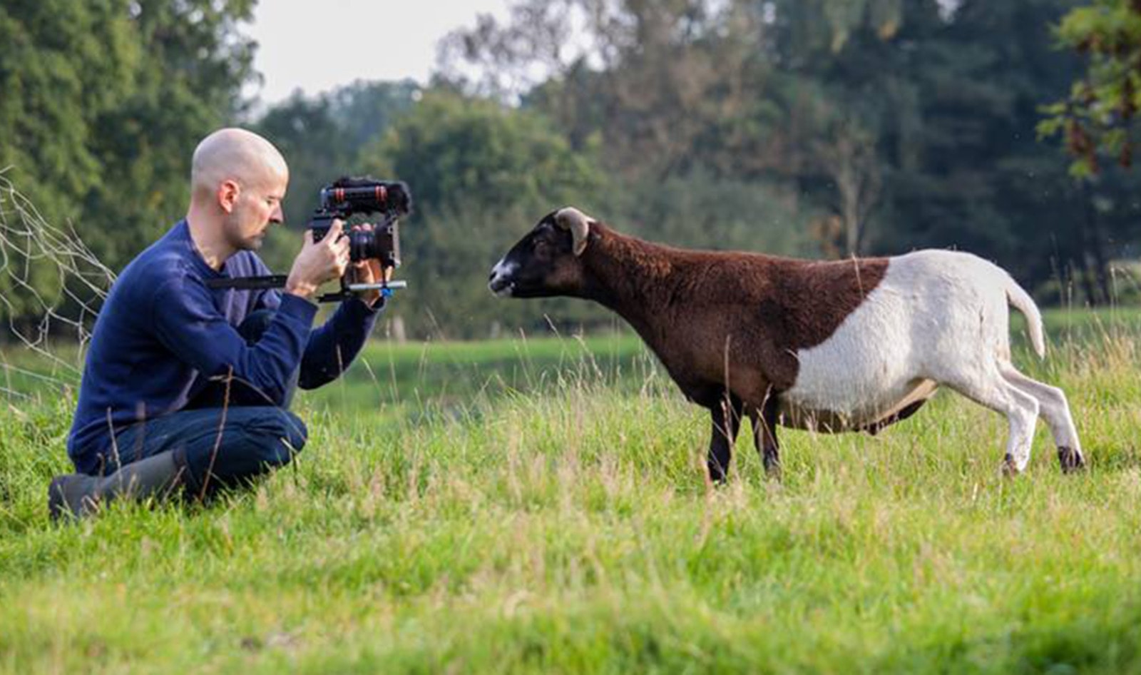 Vegan Documentary The End of Meat Makes US Debut