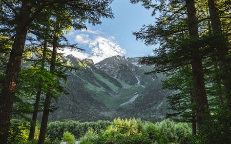 VegNews.Mountain