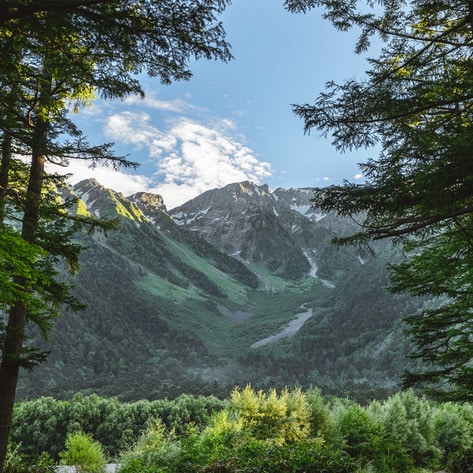 VegNews.Mountain