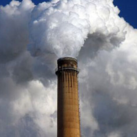 Faux Meat More Climate-Friendly