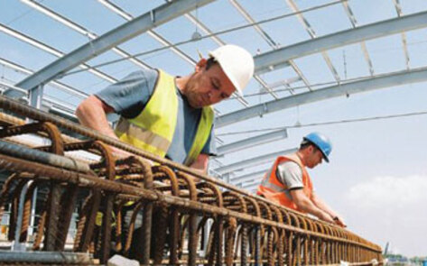 Turtle Island Growing Fast