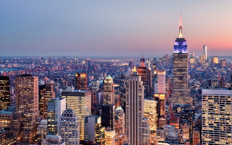 New York City to Launch New $400K Plant-Based Medicine Program