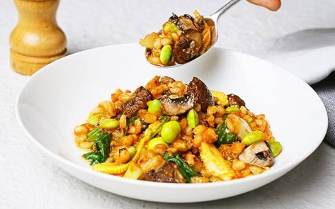 Vegan Meal Delivery Startup Strikes $9.9 Million Investment Deal