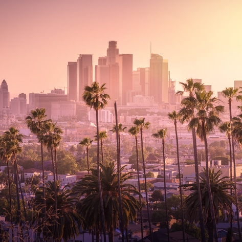 Top 10 Vegan Cities in America