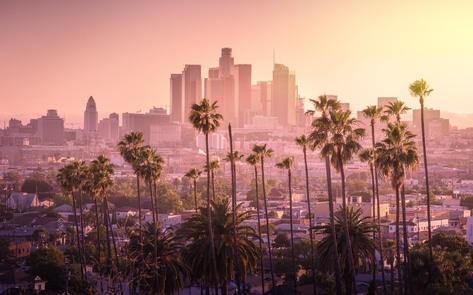 Top 10 Vegan Cities in America