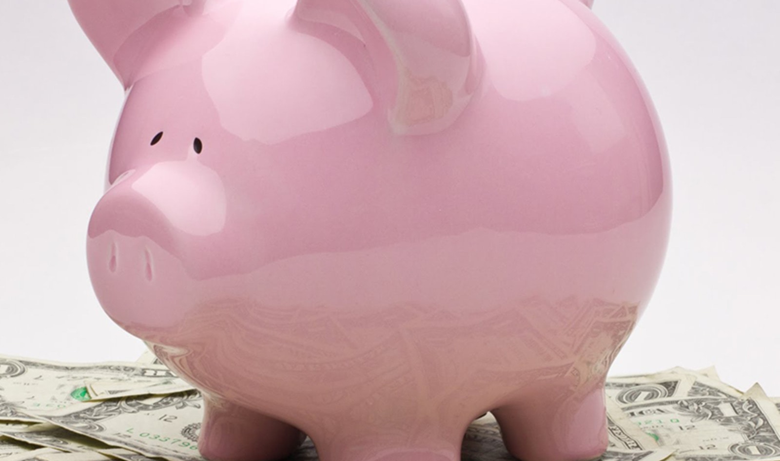 New Zealand Firm Sets Up Vegan-Friendly Investment Fund