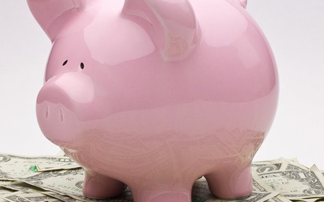 New Zealand Firm Sets Up Vegan-Friendly Investment Fund