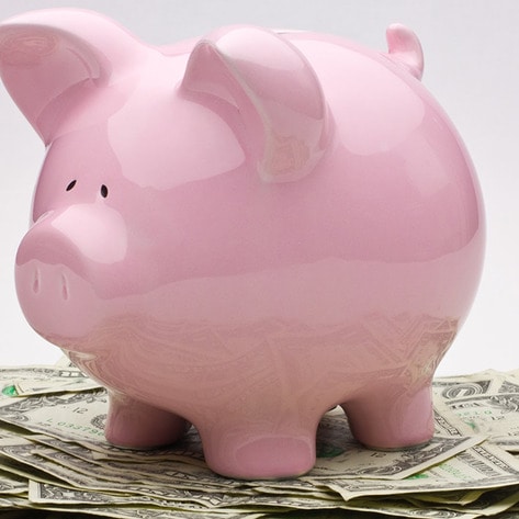VegNews.PiggyBank