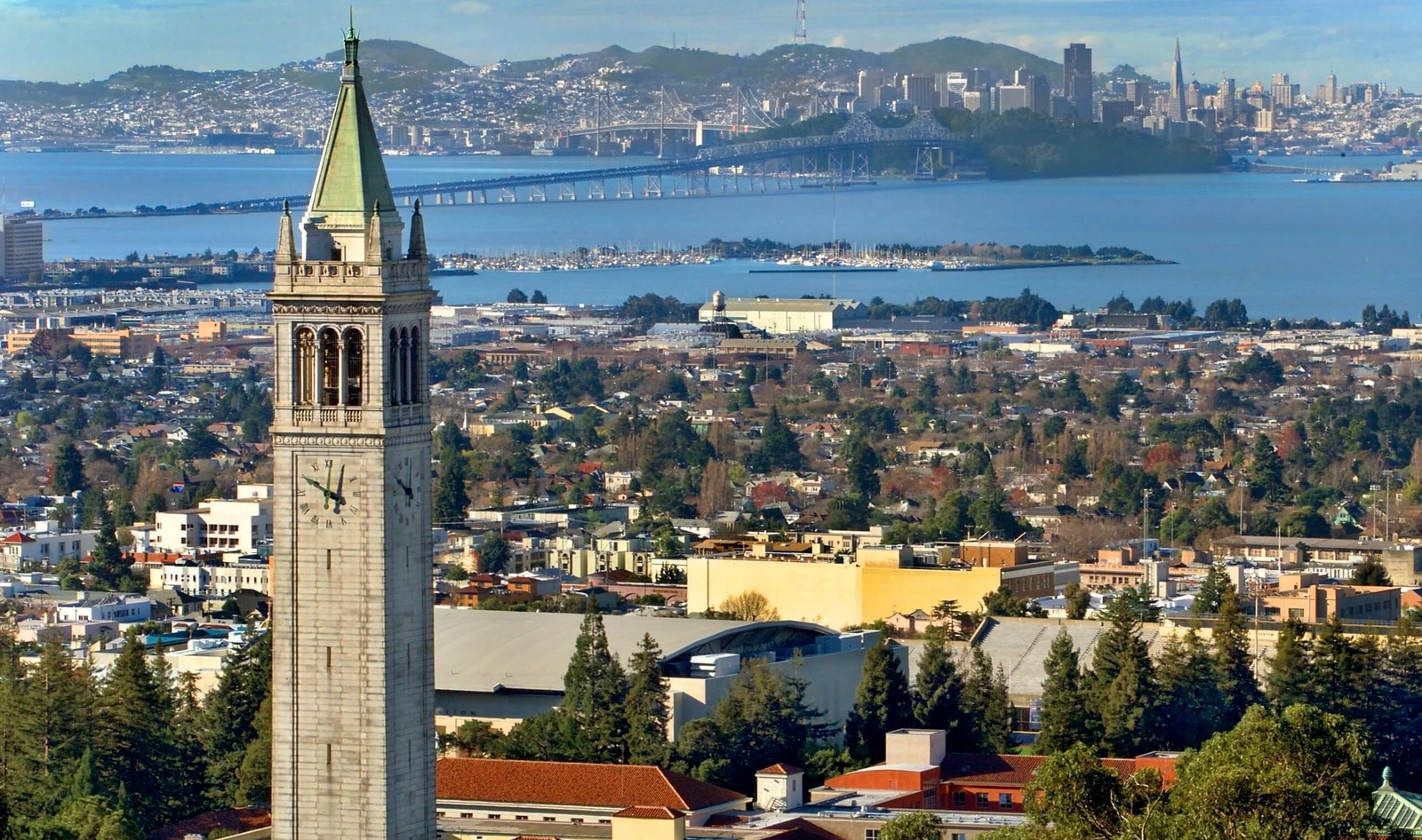 Berkeley Becomes First US City to Adopt Vegan Mondays