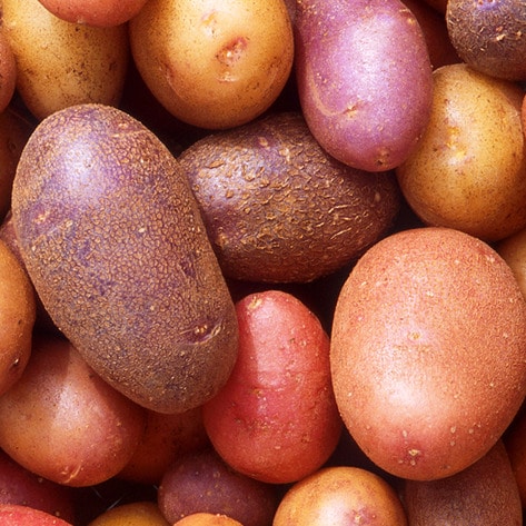 Farm-to-Table Eatery Transforms into Vegan Baked-Potato Shop