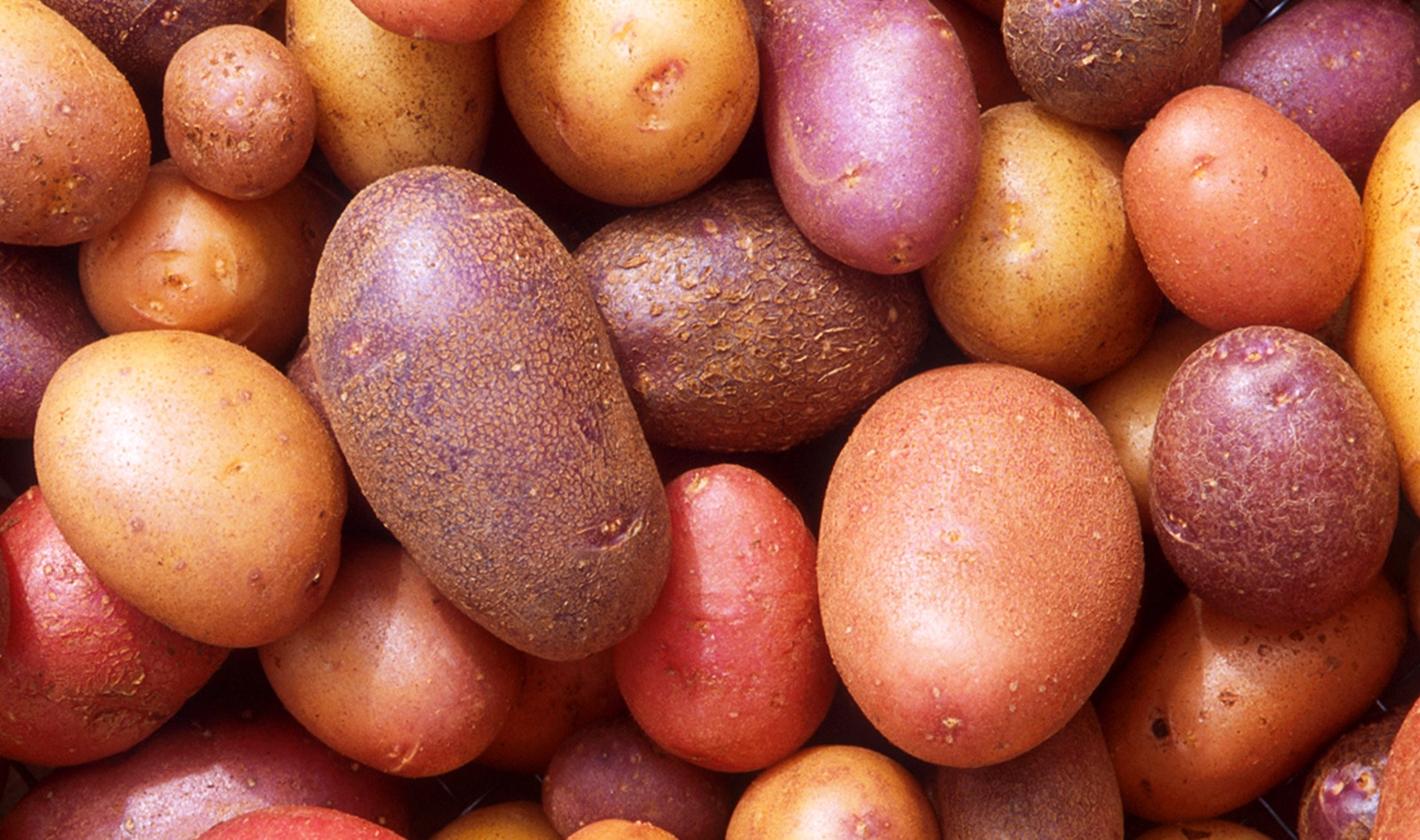 Farm-to-Table Eatery Transforms into Vegan Baked-Potato Shop