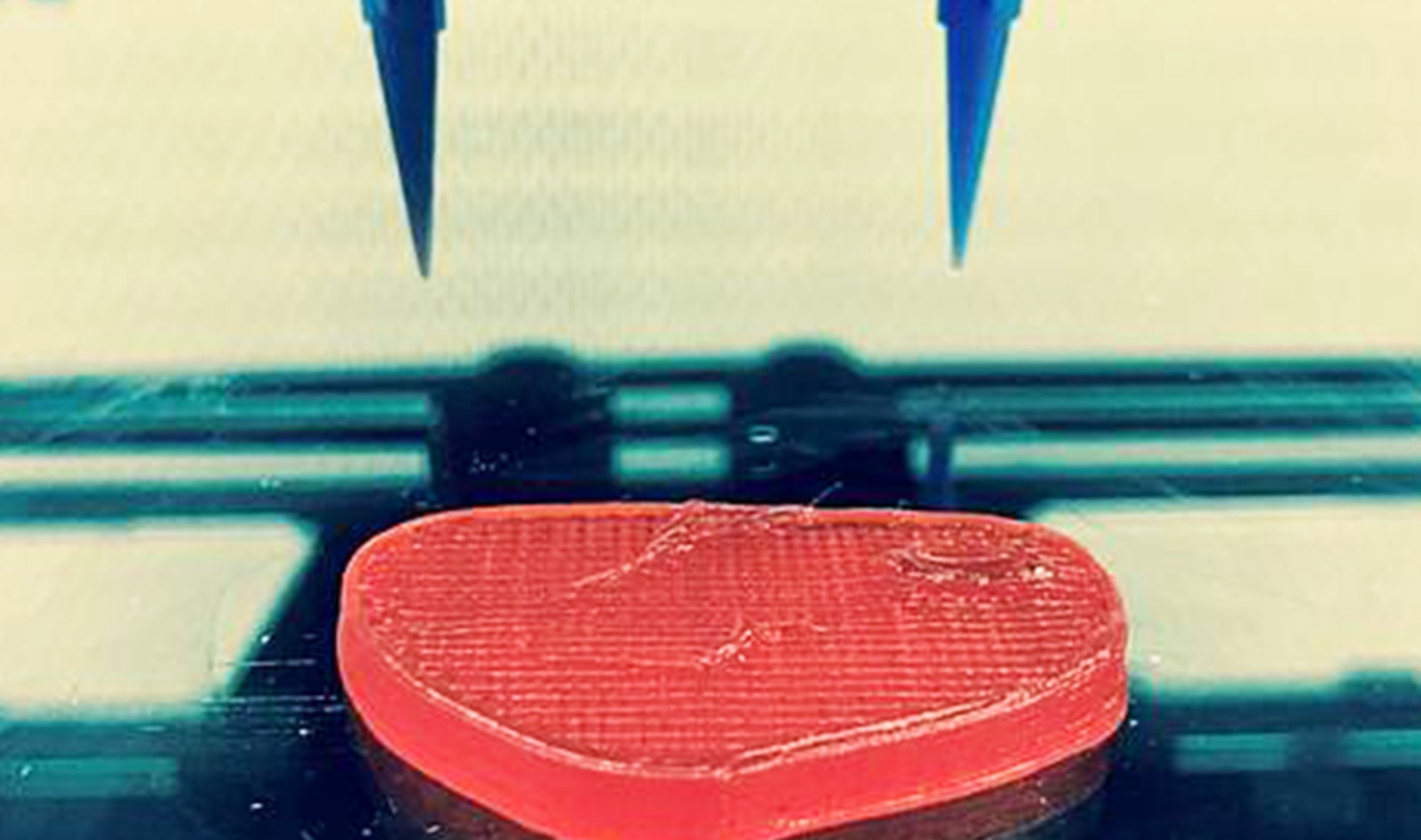 Italian Scientist Develops 3D-Printed Vegan Steak