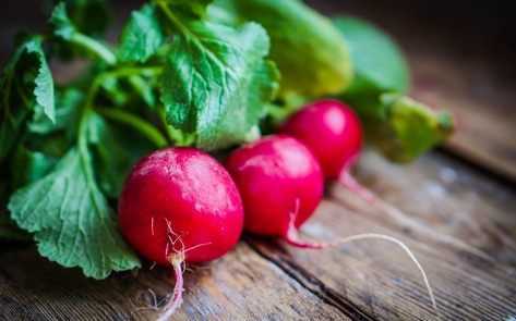 VegNews.Radish