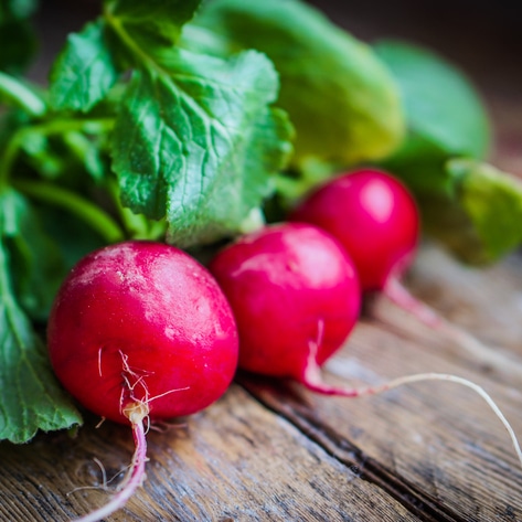 8 Cool Foods to Plant This Fall