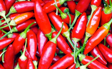 Café Launches Deathly Spicy Vegan Burger Challenge