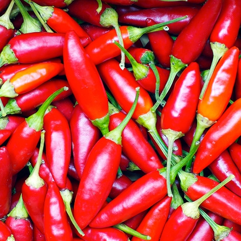 Café Launches Deathly Spicy Vegan Burger Challenge