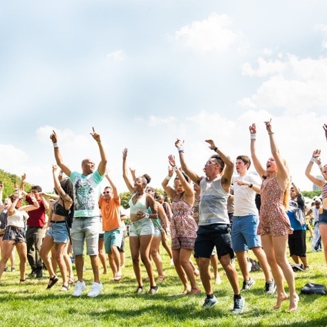 The Ultimate Insider’s Guide to Planning Your Own VegFest