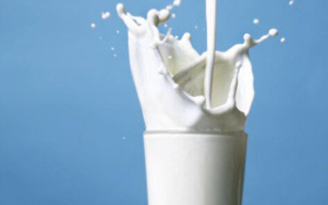 New Study: Cow's Milk Can Cause Early Death