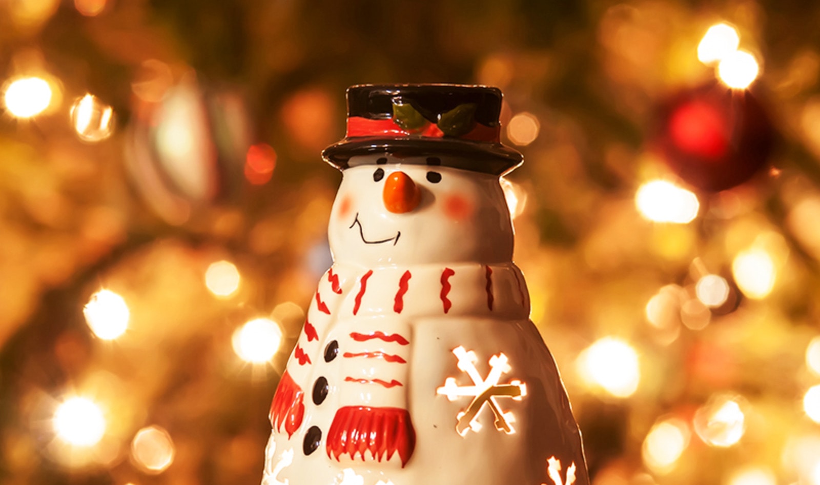 Gloucester to Host Massive Vegan Christmas Market