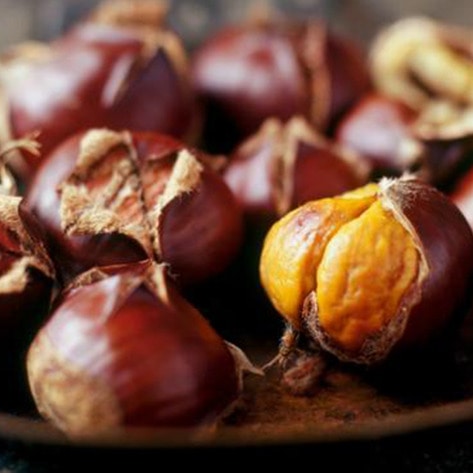 Chestnuts May Become the New Vegan Ice Cream Base