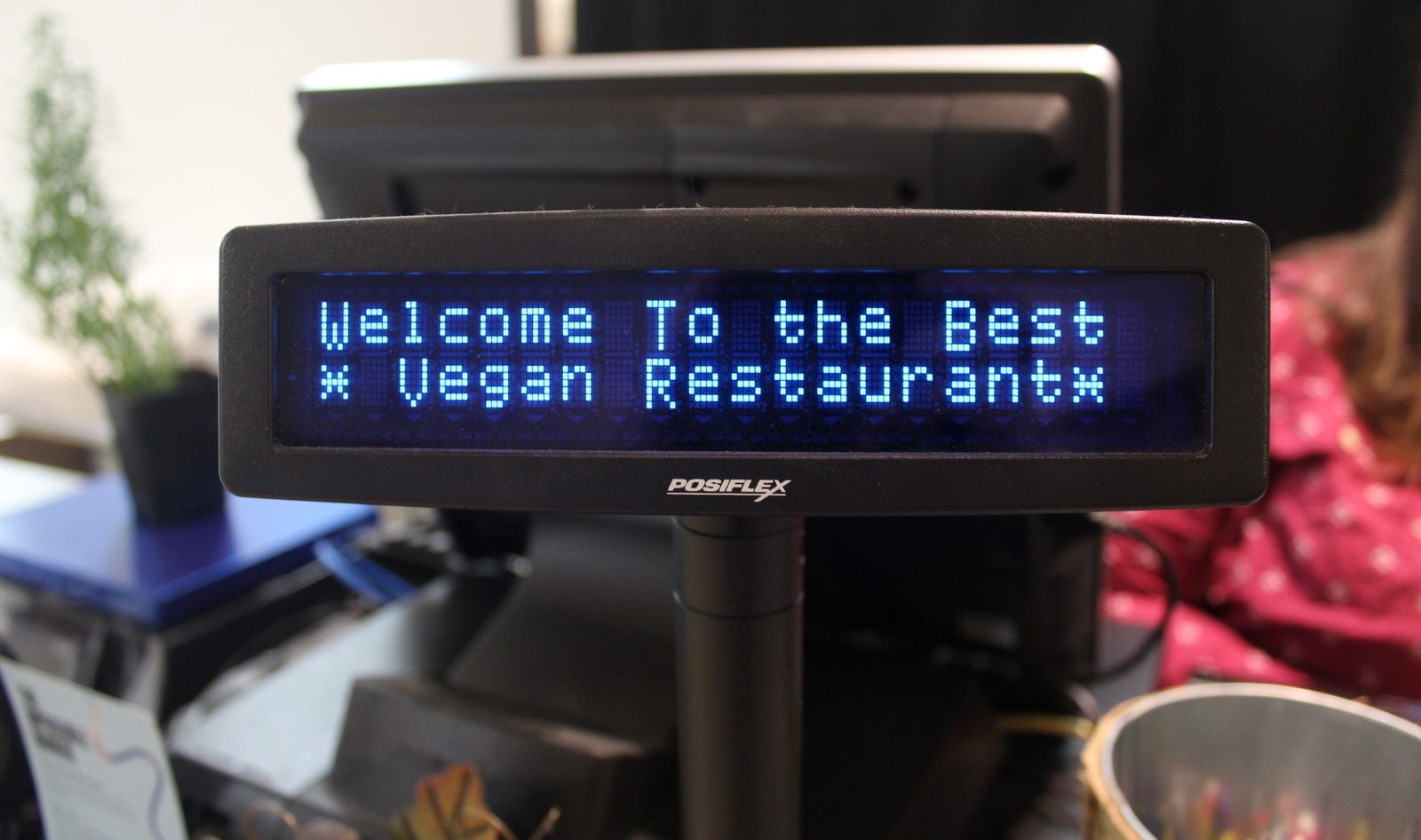 New Vegan Deli Opens in Upstate New York 