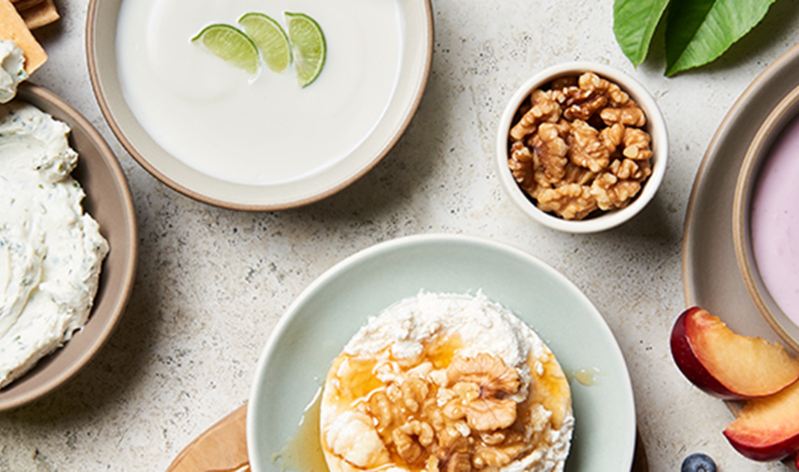 General Mills Leads $40 Million Investment Round in Vegan Company Kite Hill