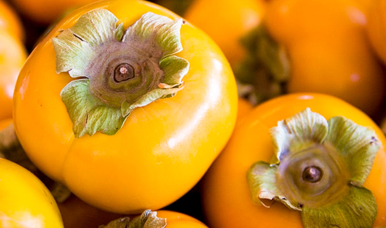 New Zealand Brand Creates Persimmon Pulp-Based Vegan Ice Cream