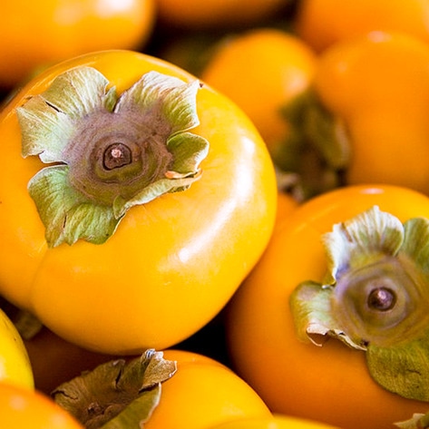 New Zealand Brand Creates Persimmon Pulp-Based Vegan Ice Cream