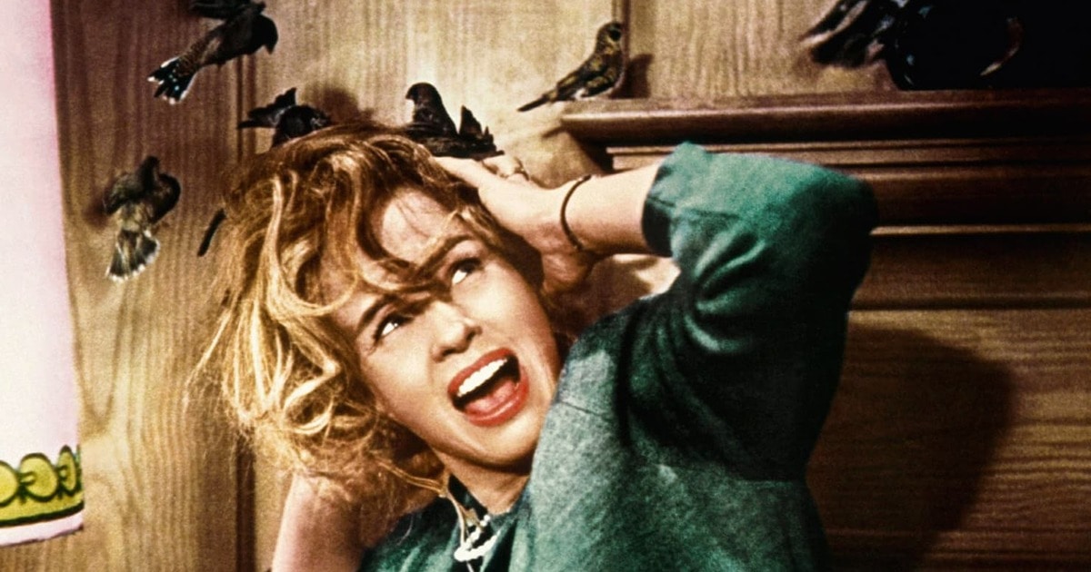 4 Iconic Halloween Horror Films With Accidental Vegan Messages