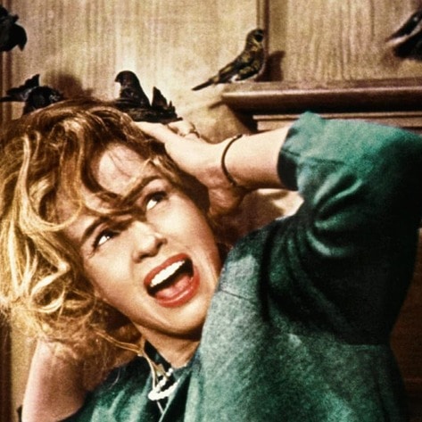 4 Iconic Halloween Horror Films With Accidental Vegan Messages 