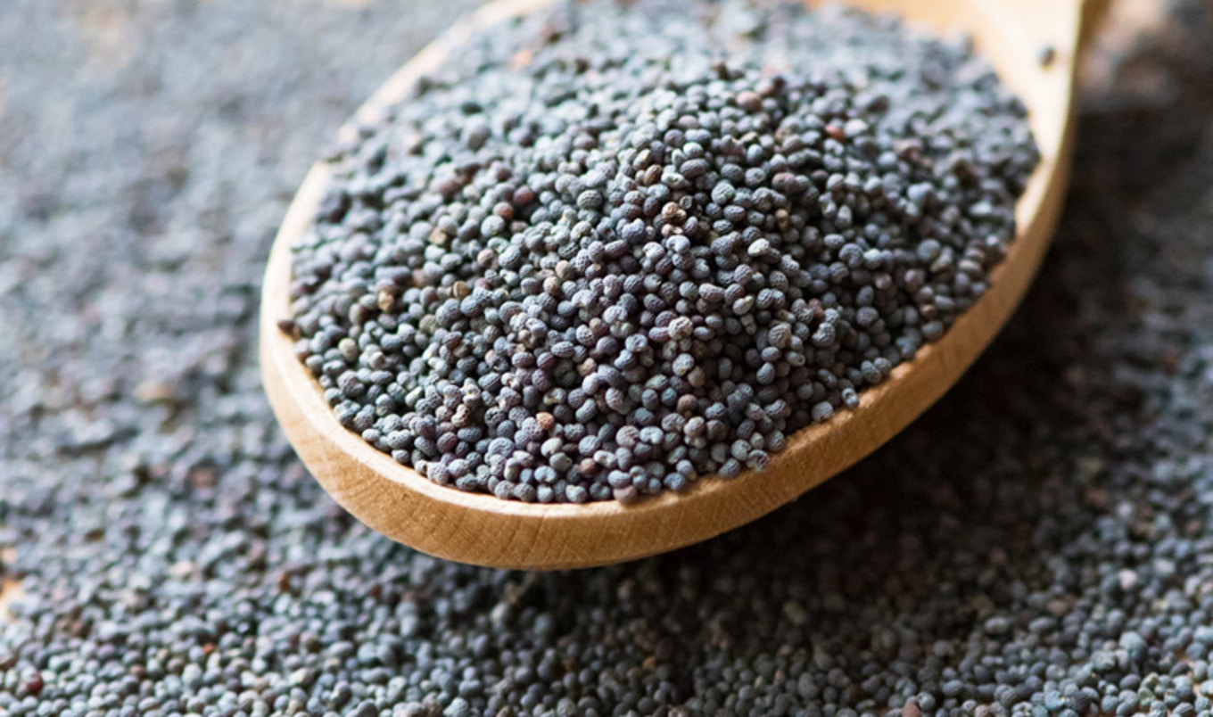 Could Poppy-Seed Milk Be the Newest Vegan Innovation? 