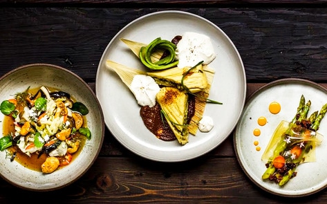 Vegan Chef to Open Experimental Dining Café in Chicago