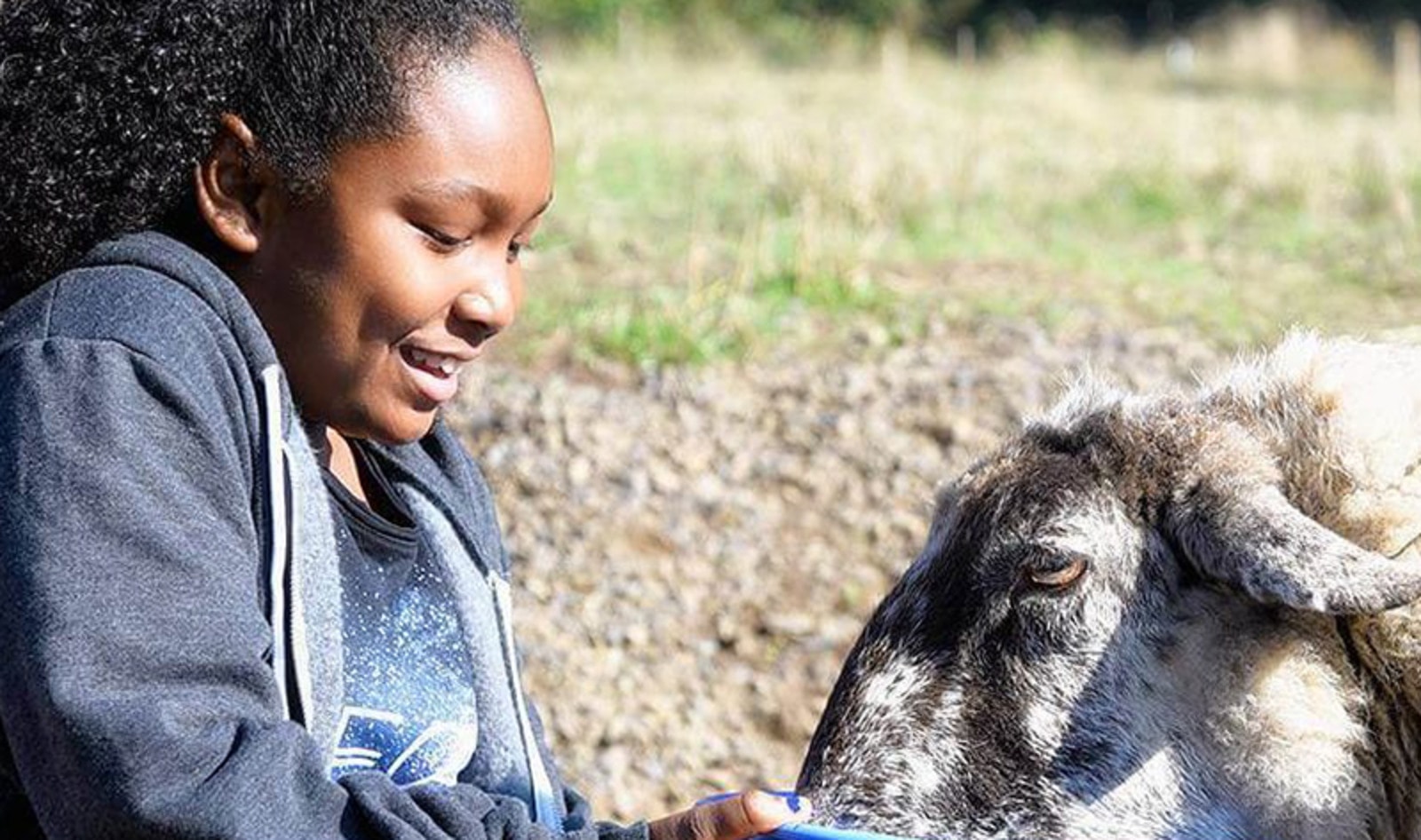 11-Year-Old Vegan Activist Launches Animal Sanctuary Support Organization