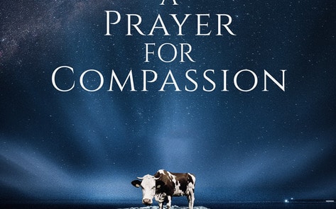 New Documentary Calls on Religious Devotees to Go Vegan