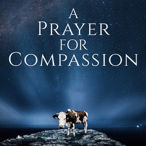 New Documentary Calls on Religious Devotees to Go Vegan