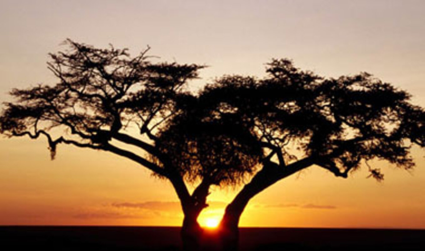 Climate Change Incites War