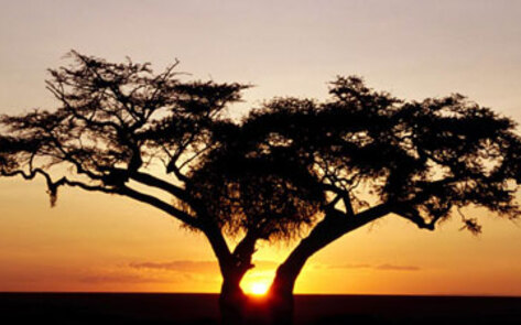 Climate Change Incites War