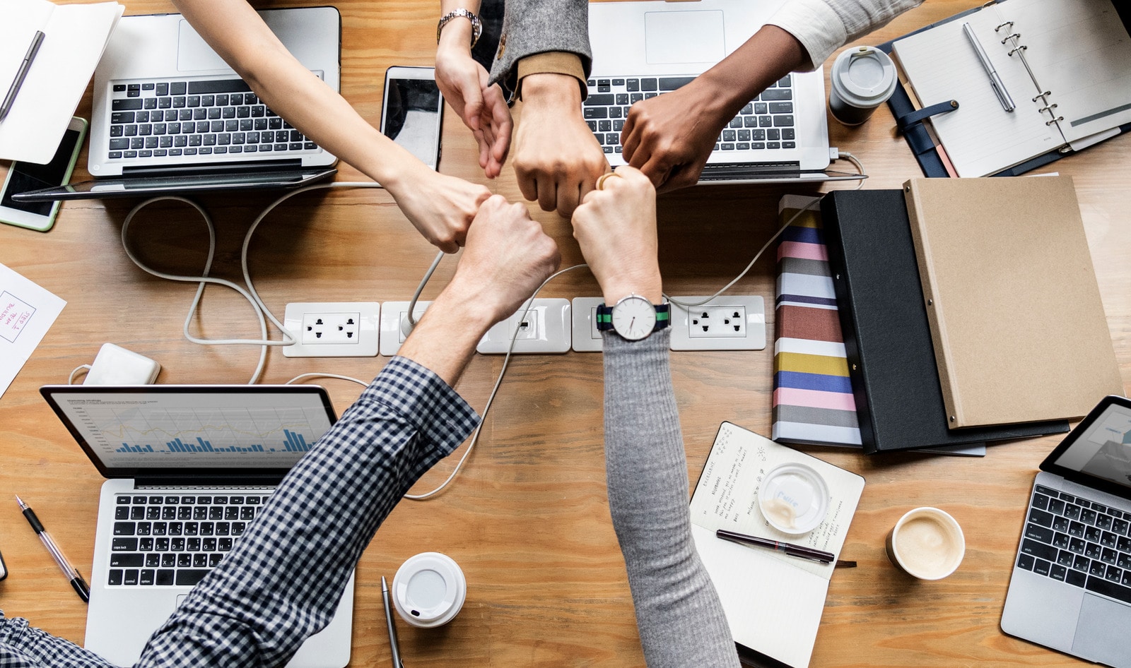 Vegan Job Finder Tool Launches Next Month