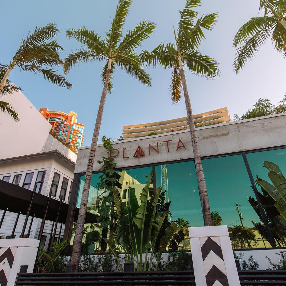 Planta is the Hottest Celeb Spot in South Beach … and it's Totally Vegan 