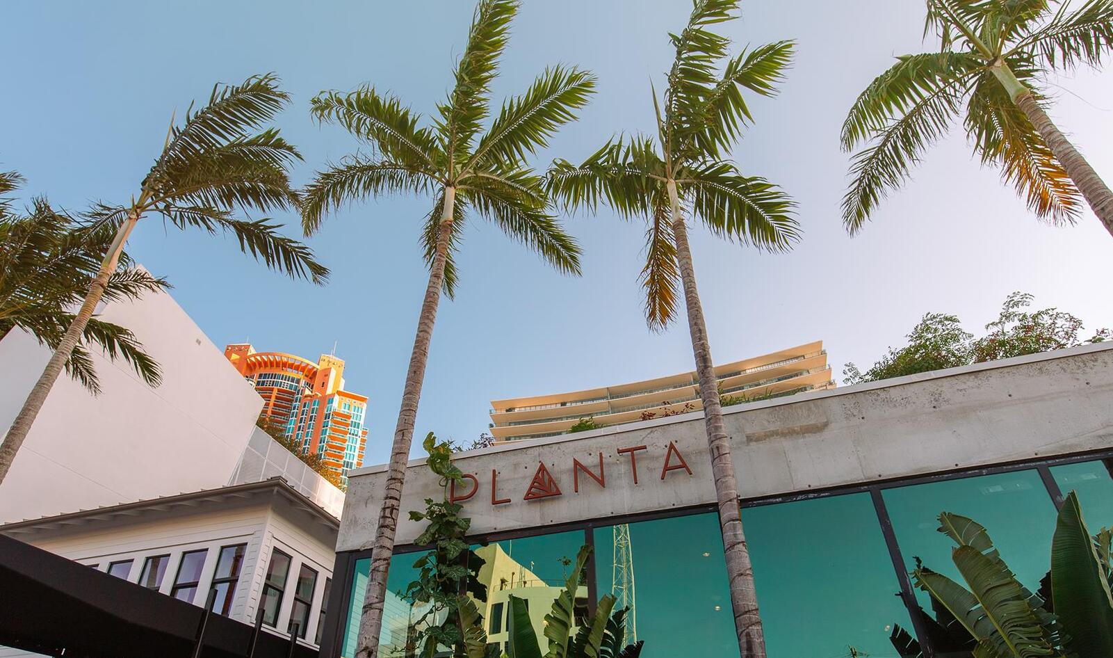 Planta is the Hottest Celeb Spot in South Beach … and it's Totally Vegan&nbsp;