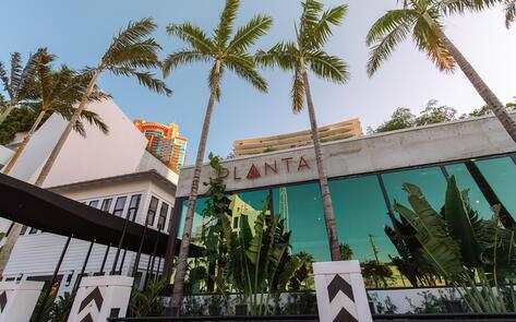 Planta is the Hottest Celeb Spot in South Beach … and it's Totally Vegan&nbsp;