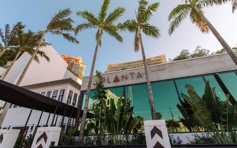 Planta is the Hottest Celeb Spot in South Beach … and it's Totally Vegan 