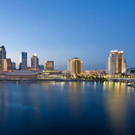 The Ultimate Vegan Guide to Tampa Bay, Florida