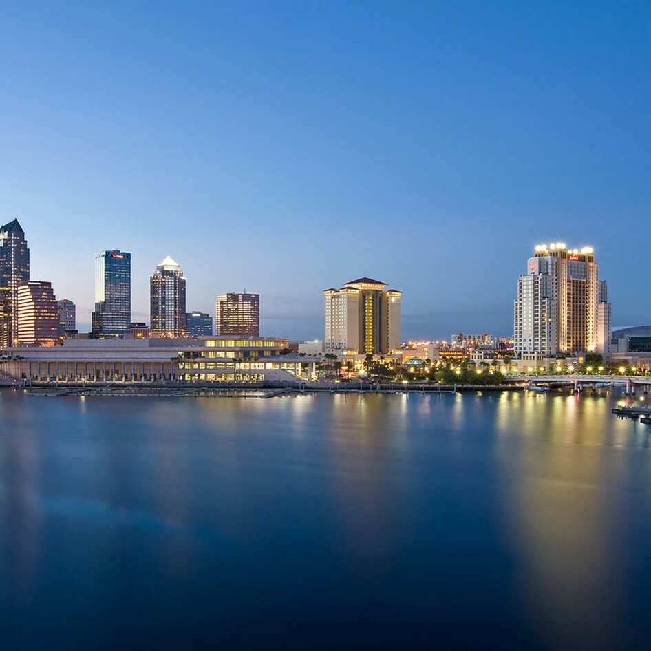 The Ultimate Vegan Guide to Tampa Bay, Florida